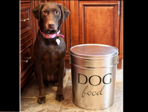 dog food Labrador dog food