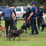 Police Dogs Labrador Retriever Police Dogs